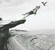 用户6615088904909的个人资料头像