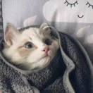 100166的个人资料头像