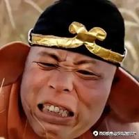 一只大胖子头像