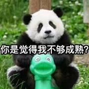 二维马的个人资料头像