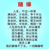 局外人2267头像