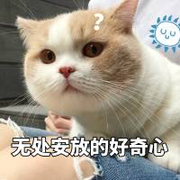 怪鹿的个人资料头像