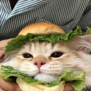 大壳55的个人资料头像