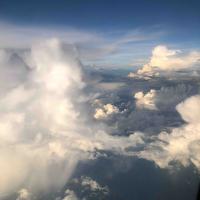 足智多谋熊猫OUD头像