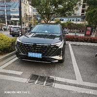 風中的密碼头像