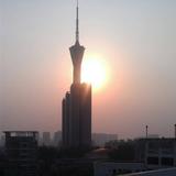 夏日星风442头像