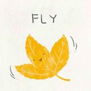 小阳208的个人资料头像