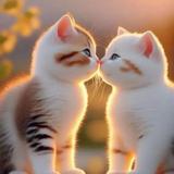 海怪船长101头像