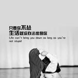 小浣熊头像