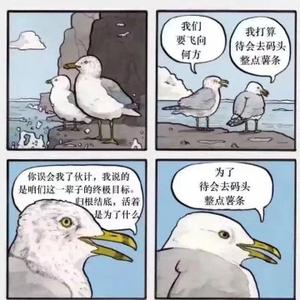 喜欢看CBA的码农头像