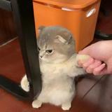 用户4507326791727头像