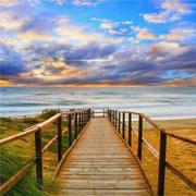 海燕125的个人资料头像