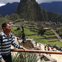 上海行者毛毛头像