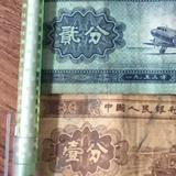396056037头像