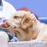 干净41165头像
