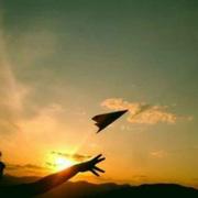 幸福的起点796的个人资料头像