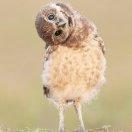 至尊宝同学的个人资料头像