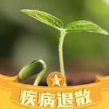 堂内之马头像