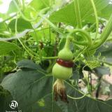 用户1675808762751头像