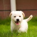 7533的个人资料头像