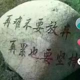 武哥头像