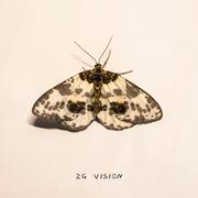 Drogonz的个人资料头像