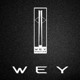 蚌埠涌润WEY头像