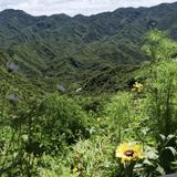 牛奶鸡蛋面包片头像