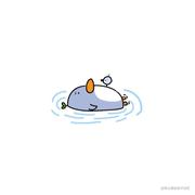 Zoe0的个人资料头像