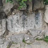 京城95号头像