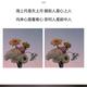 枫无㢃头像