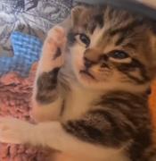 huy_682的个人资料头像