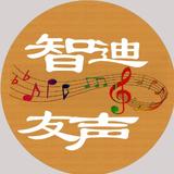 智迪友声头像