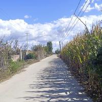 爱神丘比特68482481头像