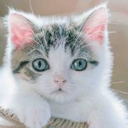 soulmate229的个人资料头像