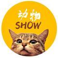 动物SHOW头像