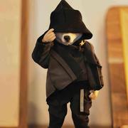 快乐的小菜鸟118的个人资料头像