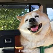 你和月光一样的个人资料头像