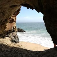 自由东方的雄鹰头像