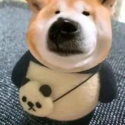 muxaofxrzs的个人资料头像