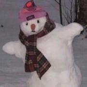 HF736的个人资料头像