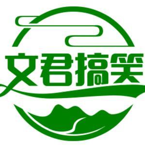 文君搞笑吧头像