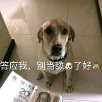 老汤姆plus头像