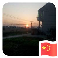 翻译一下465头像