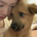 小敬不是小静头像
