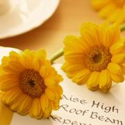 Allan1494928383540的个人资料头像