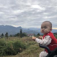 这是隔壁小王头像