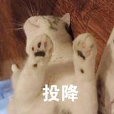 水木伞789头像