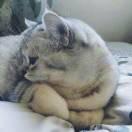 积渐的个人资料头像