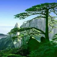 醉清风14181头像